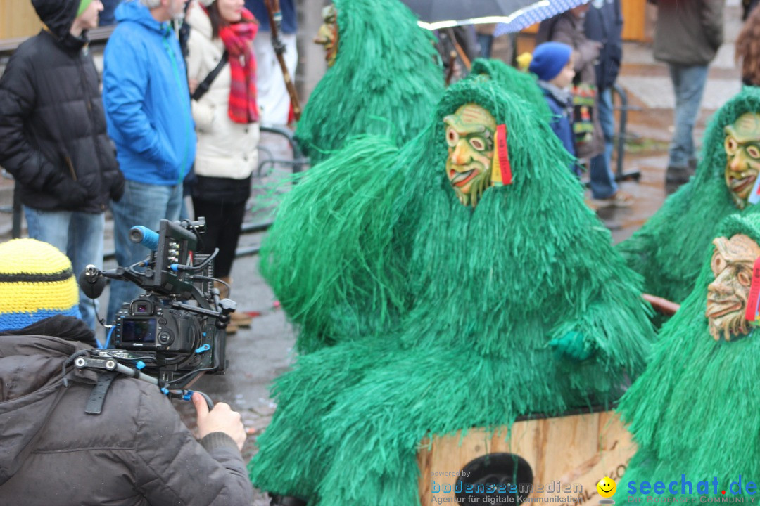 Fasnetsumzug - Fasching: Langenargen am Bodensee, 10.01.2016