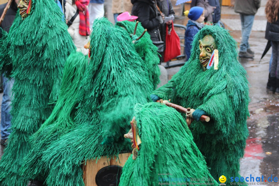 Fasnetsumzug - Fasching: Langenargen am Bodensee, 10.01.2016