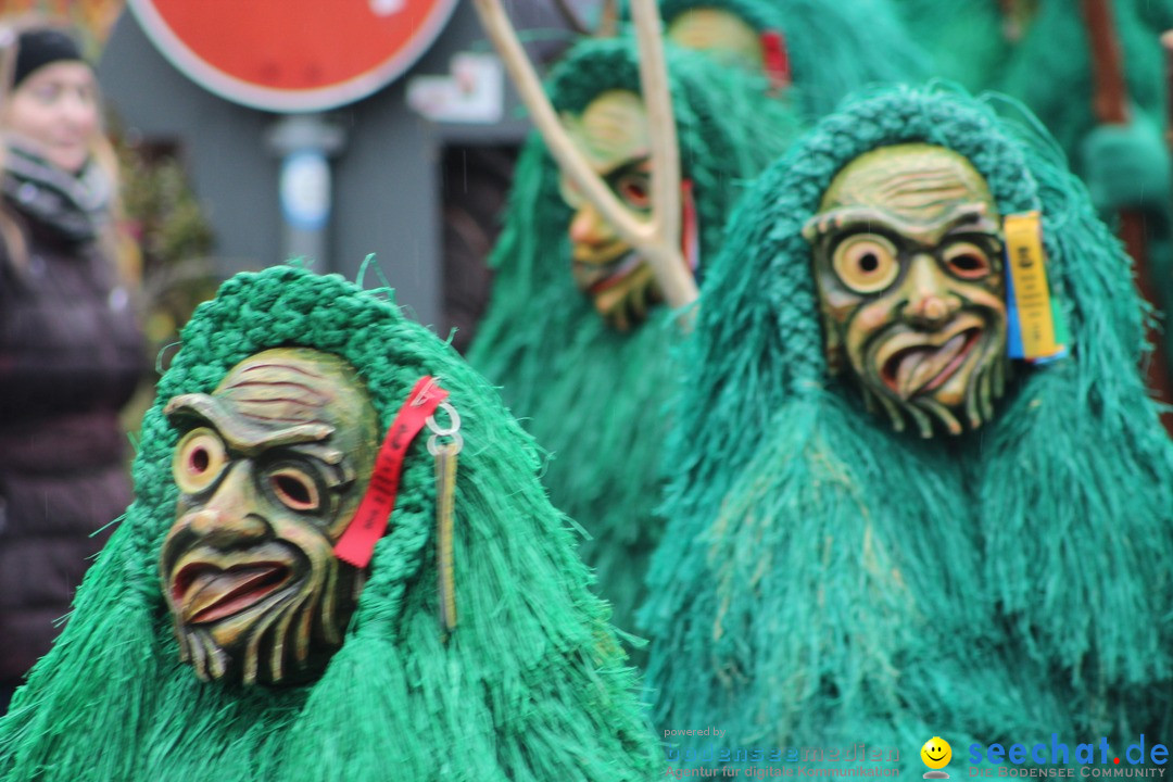 Fasnetsumzug - Fasching: Langenargen am Bodensee, 10.01.2016