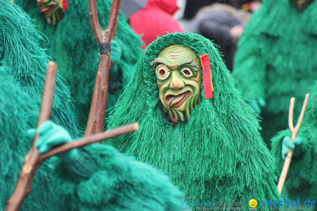 Fasnetsumzug - Fasching: Langenargen am Bodensee, 10.01.2016