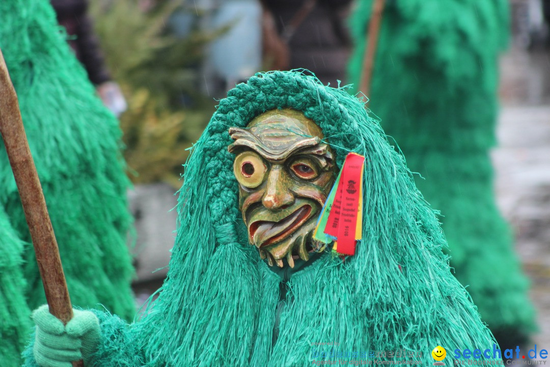 Fasnetsumzug - Fasching: Langenargen am Bodensee, 10.01.2016