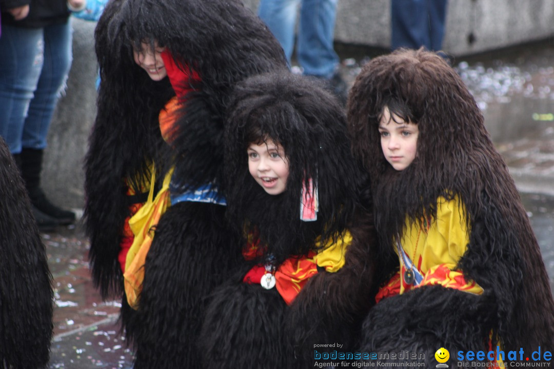 Fasnetsumzug - Fasching: Langenargen am Bodensee, 10.01.2016