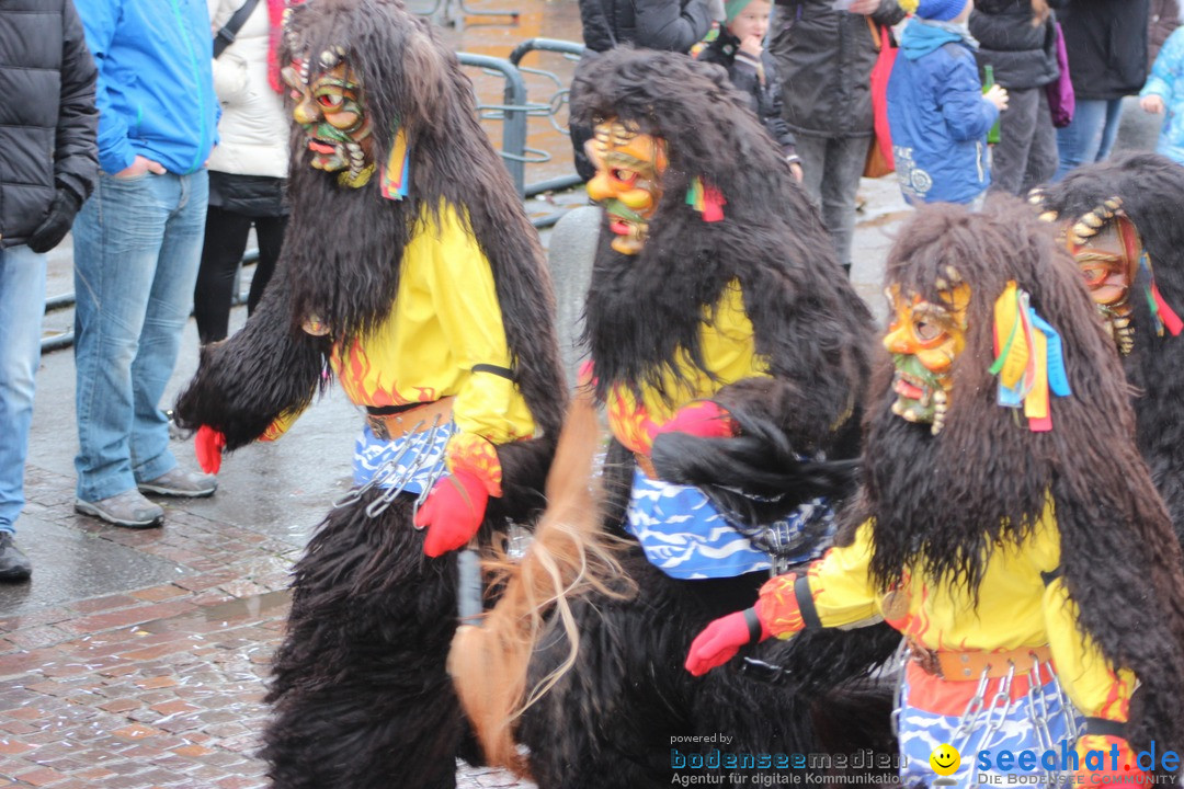 Fasnetsumzug - Fasching: Langenargen am Bodensee, 10.01.2016