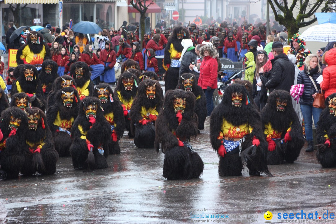 Fasnetsumzug - Fasching: Langenargen am Bodensee, 10.01.2016