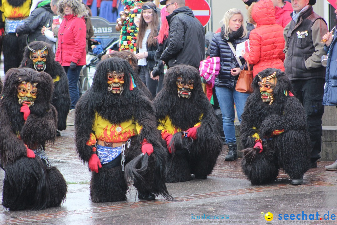 Fasnetsumzug - Fasching: Langenargen am Bodensee, 10.01.2016