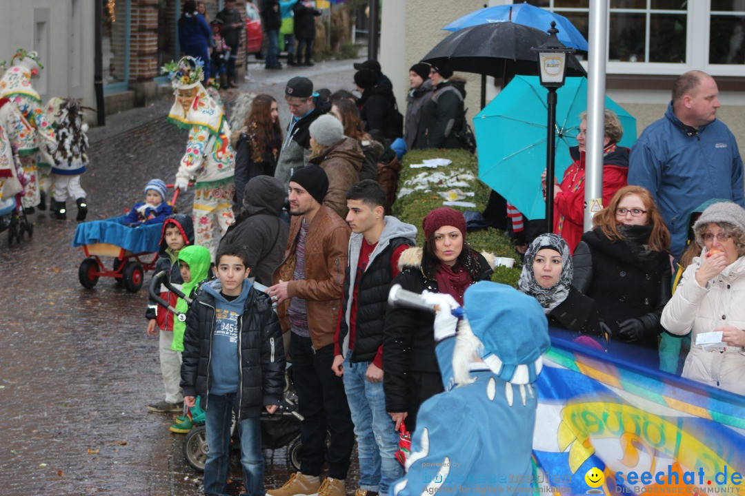 Fasnetsumzug - Fasching: Langenargen am Bodensee, 10.01.2016