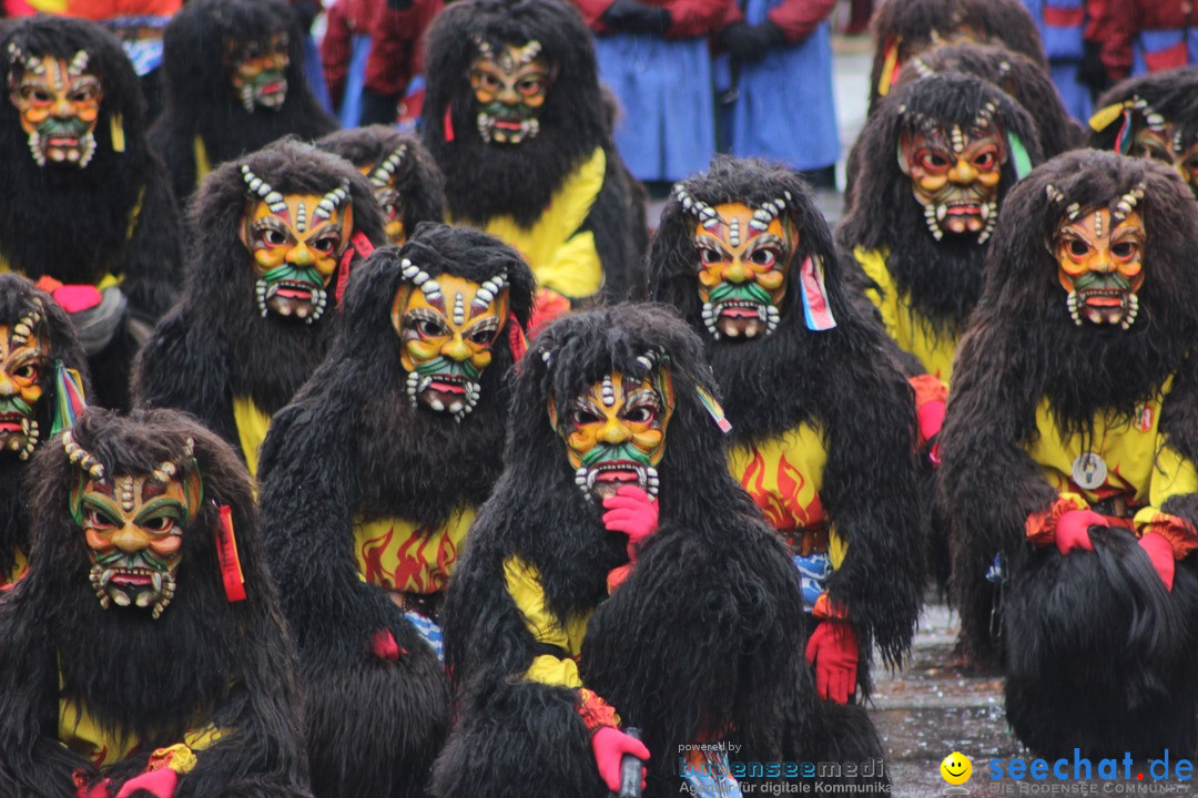 Fasnetsumzug - Fasching: Langenargen am Bodensee, 10.01.2016