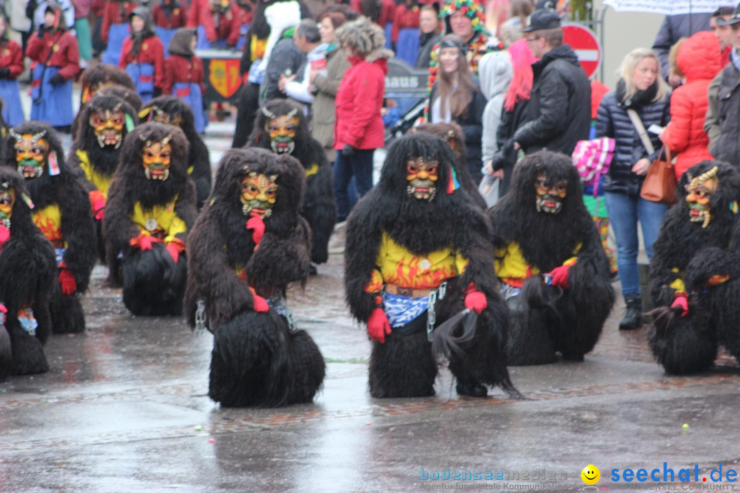 Fasnetsumzug - Fasching: Langenargen am Bodensee, 10.01.2016