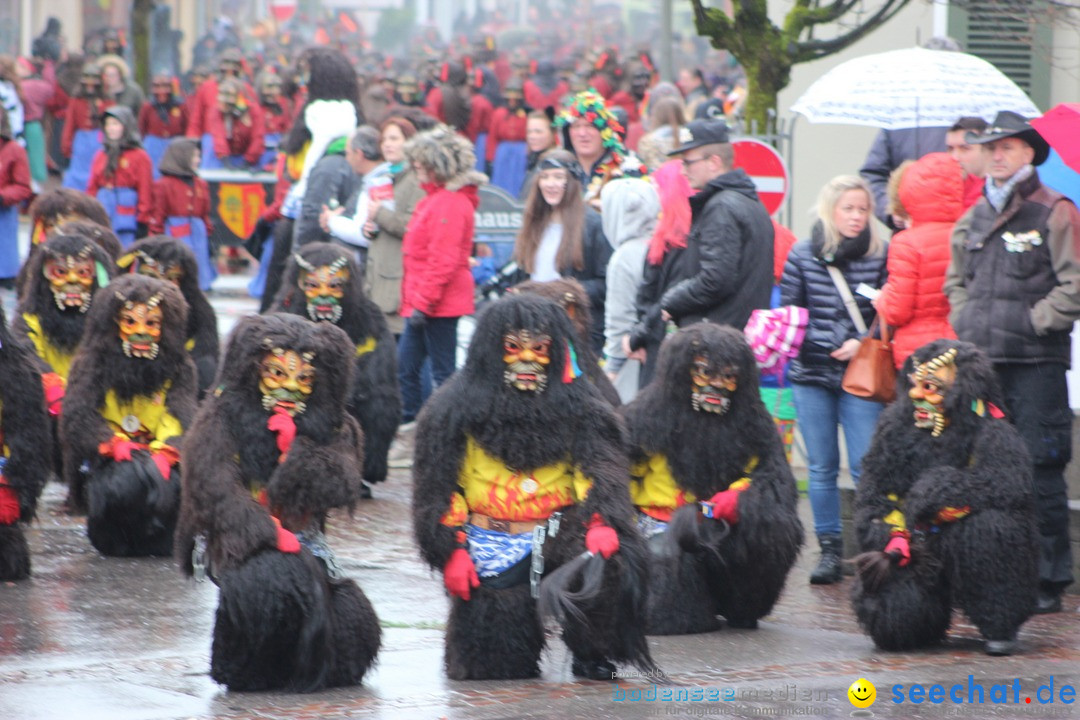 Fasnetsumzug - Fasching: Langenargen am Bodensee, 10.01.2016