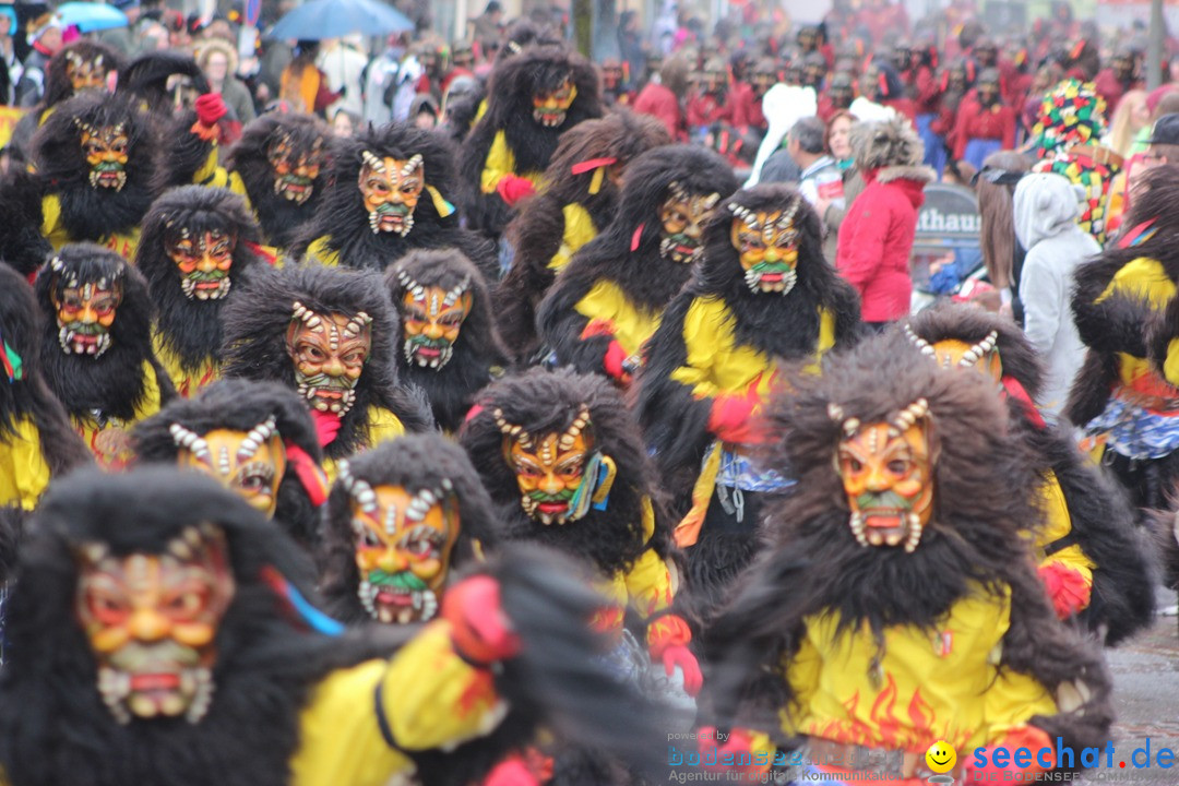 Fasnetsumzug - Fasching: Langenargen am Bodensee, 10.01.2016