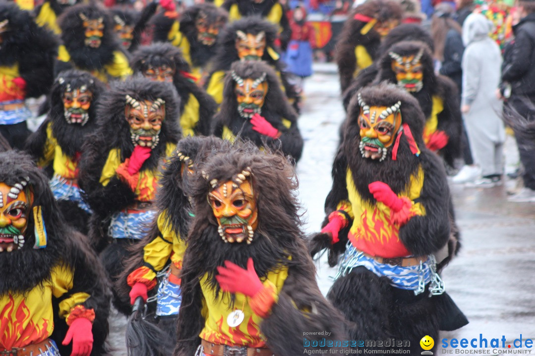 Fasnetsumzug - Fasching: Langenargen am Bodensee, 10.01.2016