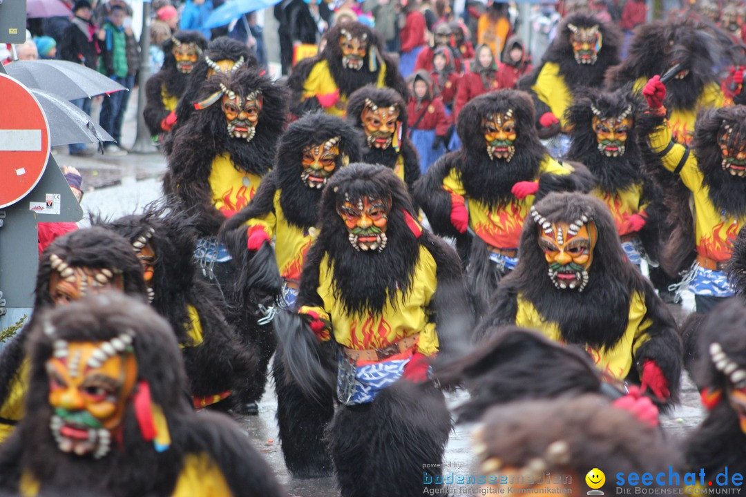 Fasnetsumzug - Fasching: Langenargen am Bodensee, 10.01.2016