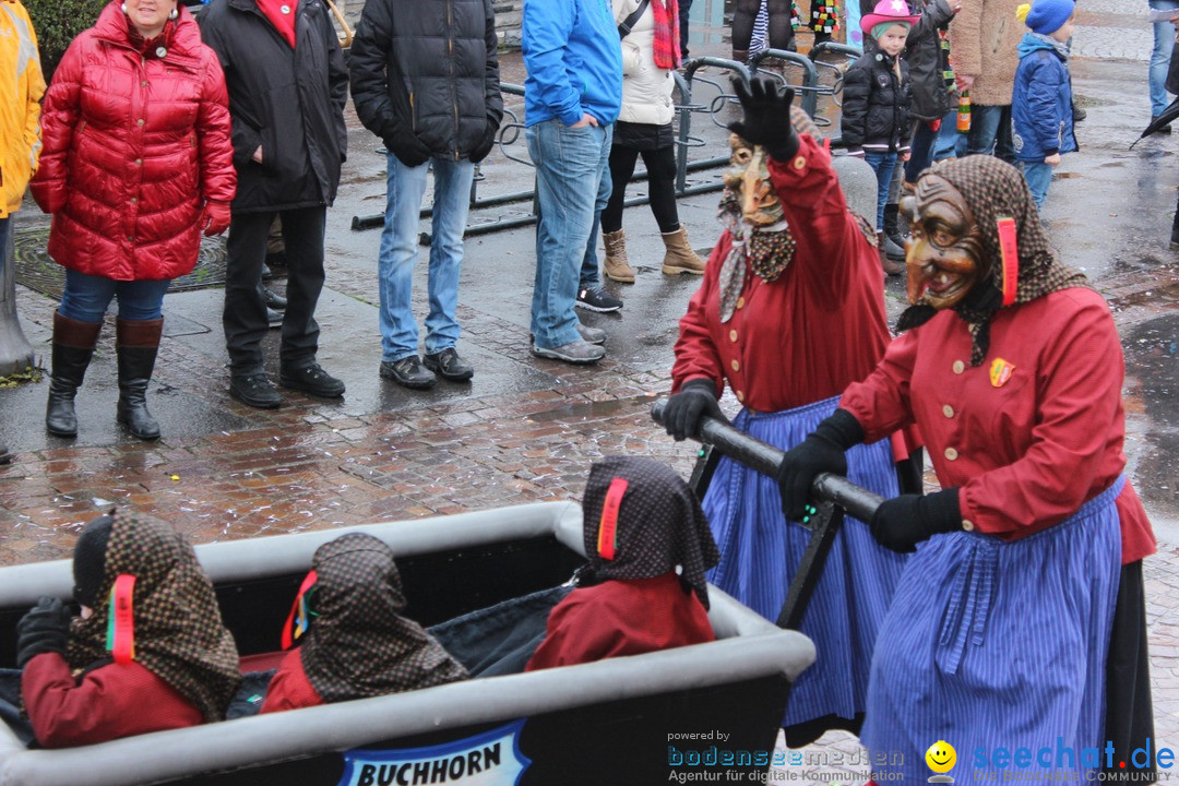 Fasnetsumzug - Fasching: Langenargen am Bodensee, 10.01.2016