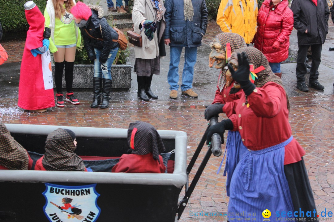 Fasnetsumzug - Fasching: Langenargen am Bodensee, 10.01.2016