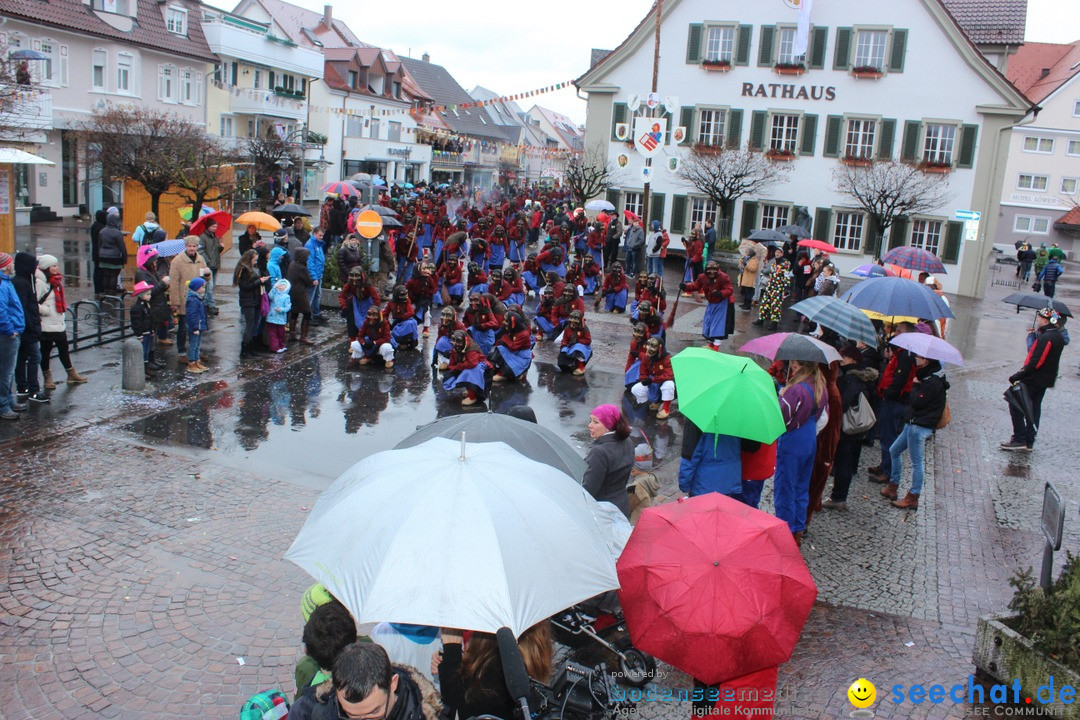 Fasnetsumzug - Fasching: Langenargen am Bodensee, 10.01.2016