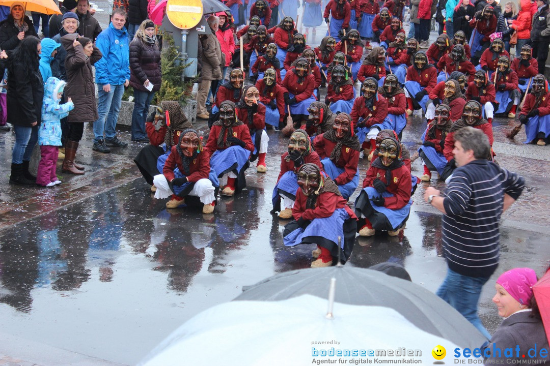 Fasnetsumzug - Fasching: Langenargen am Bodensee, 10.01.2016