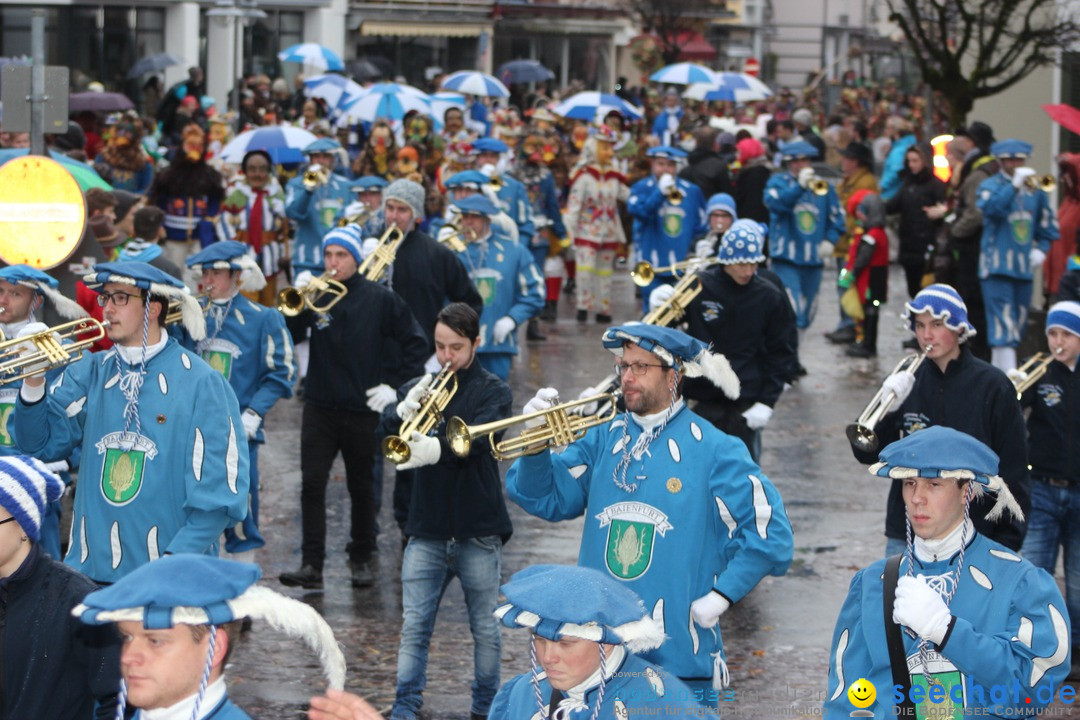 Fasnetsumzug - Fasching: Langenargen am Bodensee, 10.01.2016