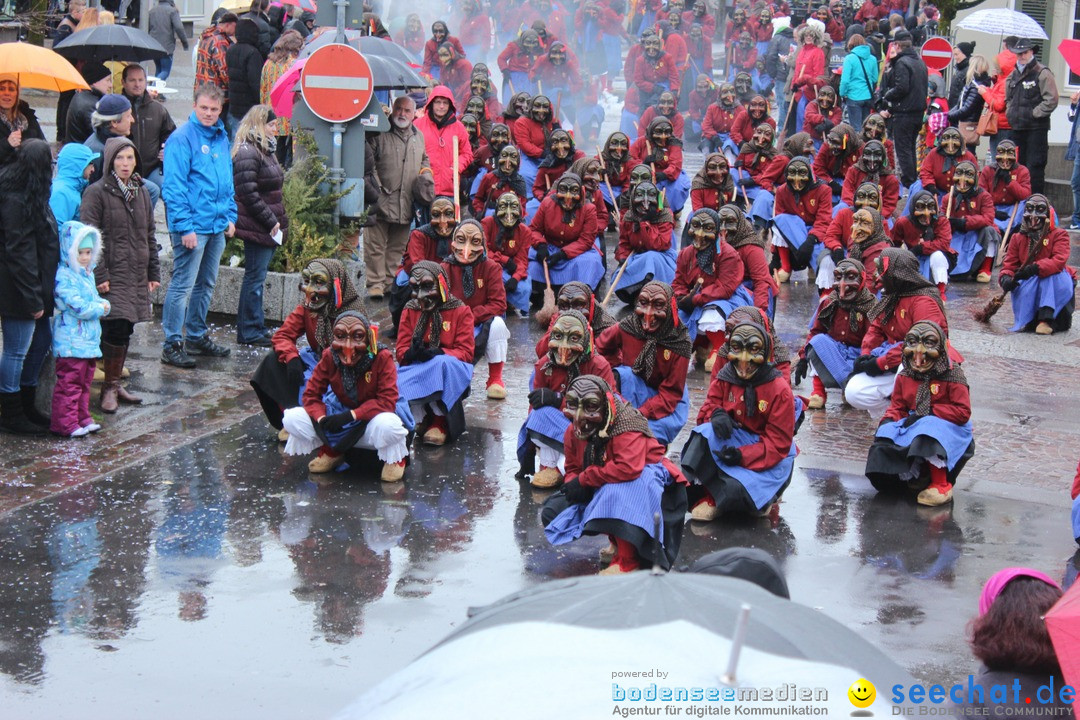 Fasnetsumzug - Fasching: Langenargen am Bodensee, 10.01.2016