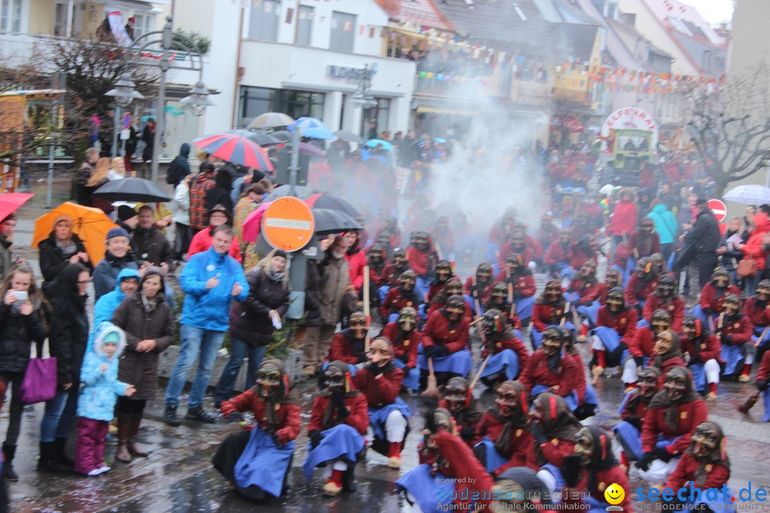 Fasnetsumzug - Fasching: Langenargen am Bodensee, 10.01.2016