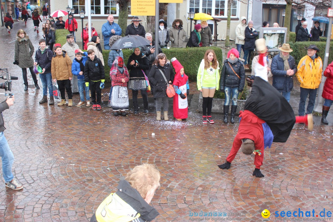 Fasnetsumzug - Fasching: Langenargen am Bodensee, 10.01.2016