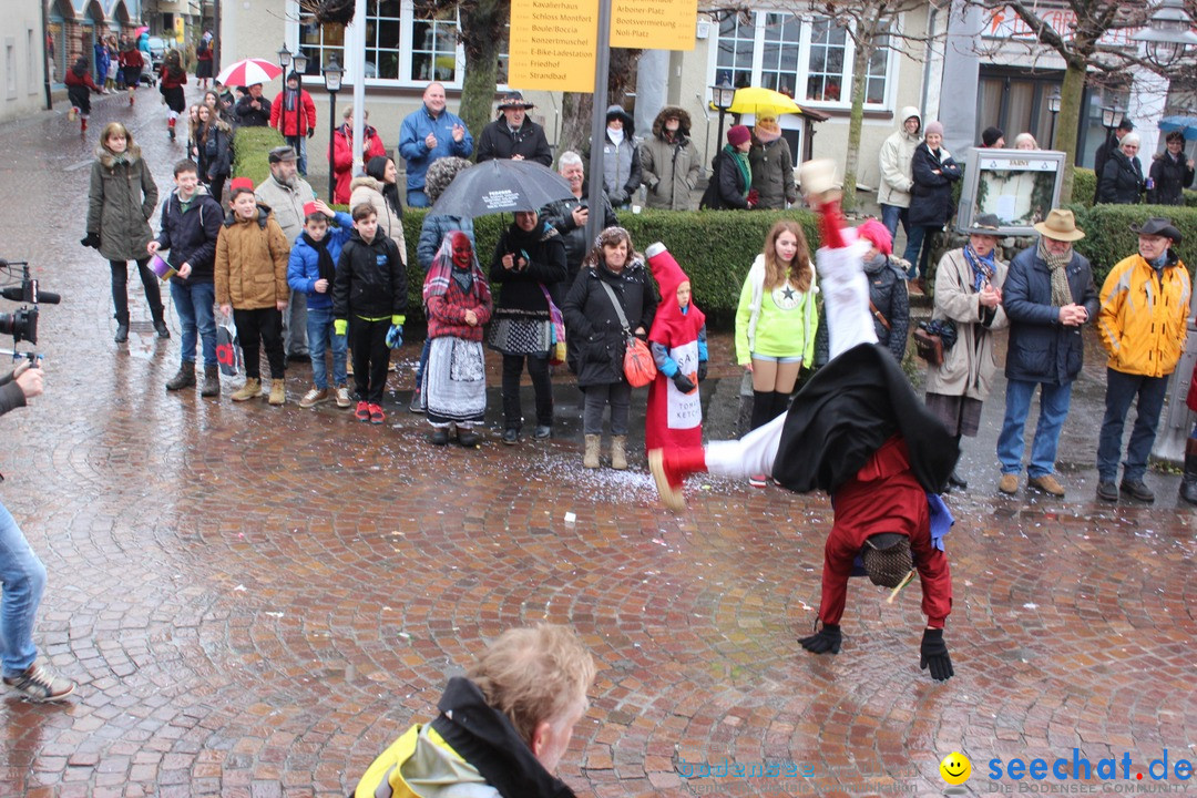 Fasnetsumzug - Fasching: Langenargen am Bodensee, 10.01.2016