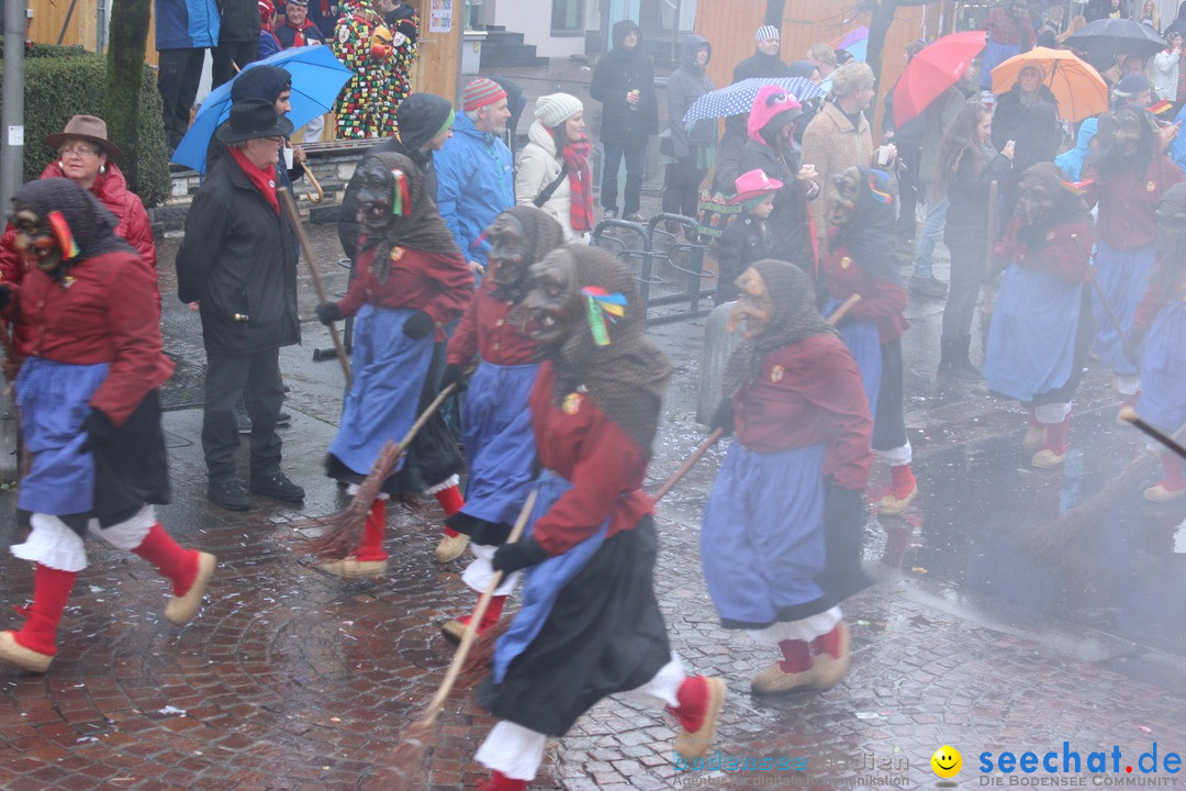 Fasnetsumzug - Fasching: Langenargen am Bodensee, 10.01.2016