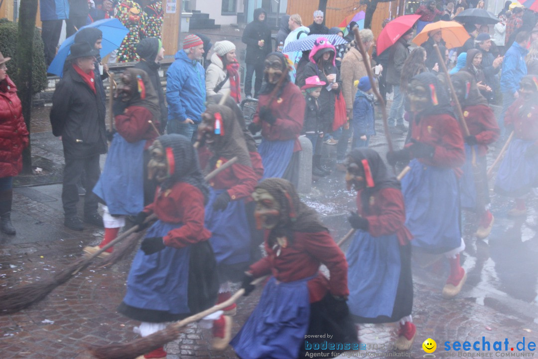 Fasnetsumzug - Fasching: Langenargen am Bodensee, 10.01.2016