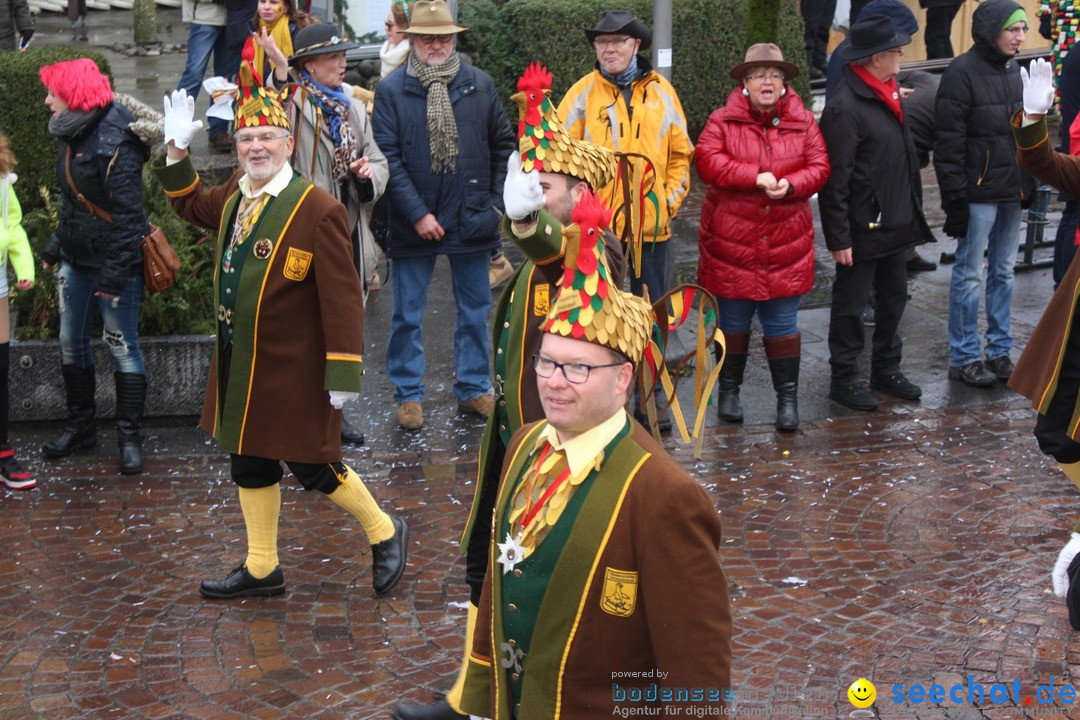 Fasnetsumzug - Fasching: Langenargen am Bodensee, 10.01.2016