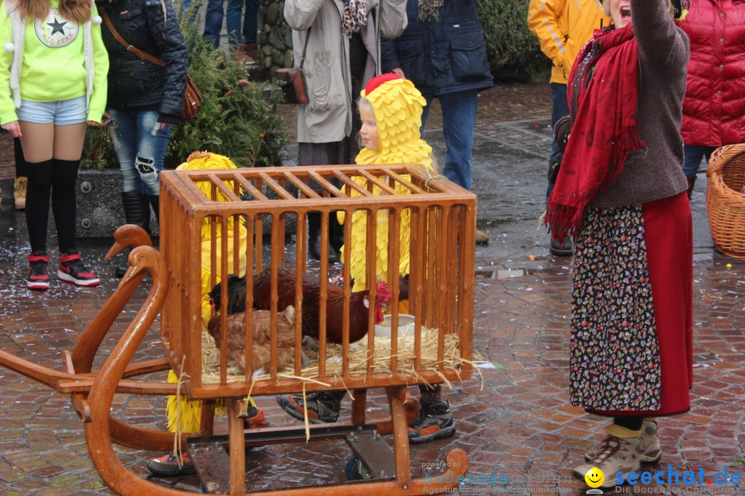 Fasnetsumzug - Fasching: Langenargen am Bodensee, 10.01.2016