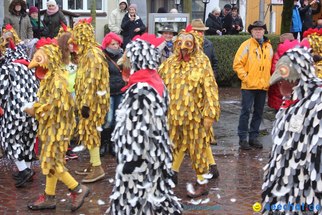 Fasnetsumzug - Fasching: Langenargen am Bodensee, 10.01.2016