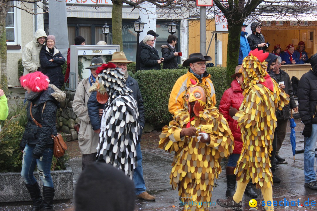 Fasnetsumzug - Fasching: Langenargen am Bodensee, 10.01.2016