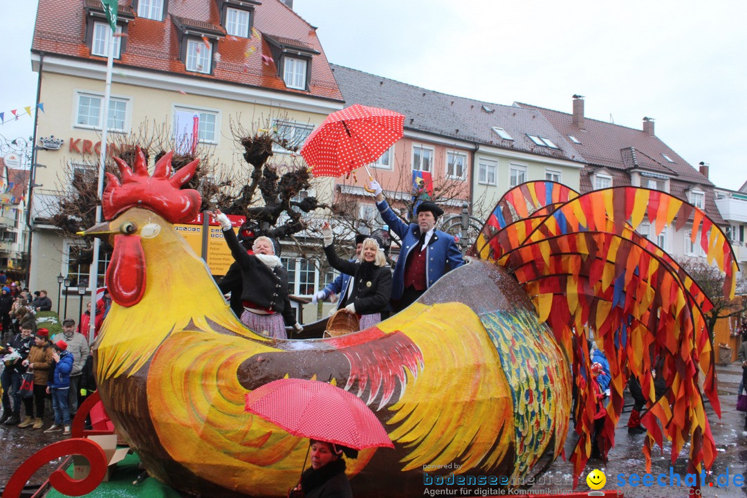 Fasnetsumzug - Fasching: Langenargen am Bodensee, 10.01.2016