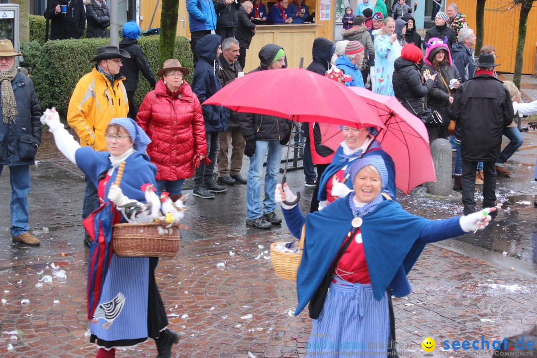 Fasnetsumzug - Fasching: Langenargen am Bodensee, 10.01.2016