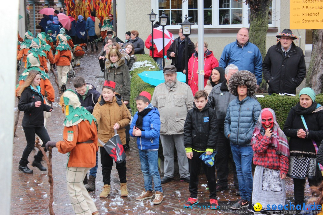 Fasnetsumzug - Fasching: Langenargen am Bodensee, 10.01.2016