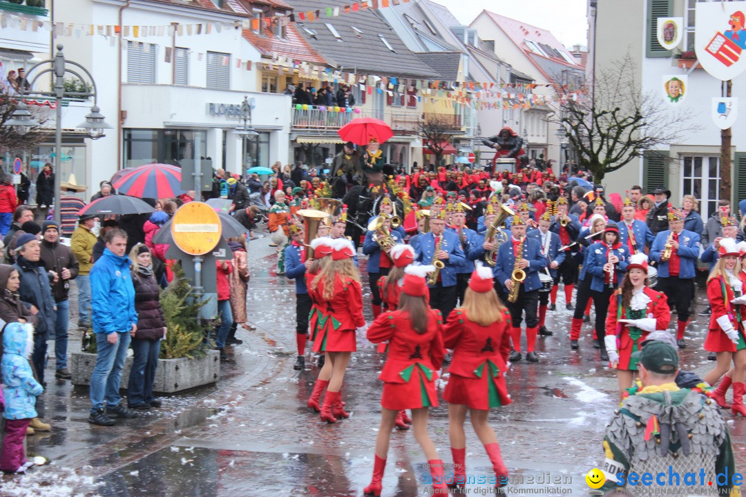 Fasnetsumzug - Fasching: Langenargen am Bodensee, 10.01.2016