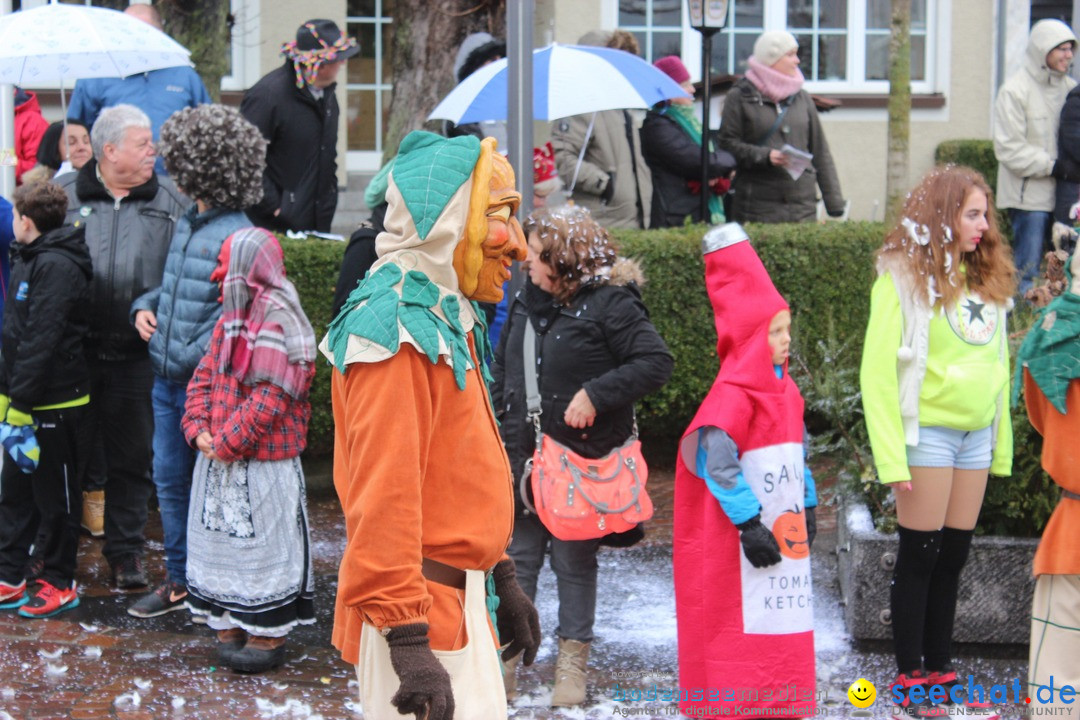 Fasnetsumzug - Fasching: Langenargen am Bodensee, 10.01.2016