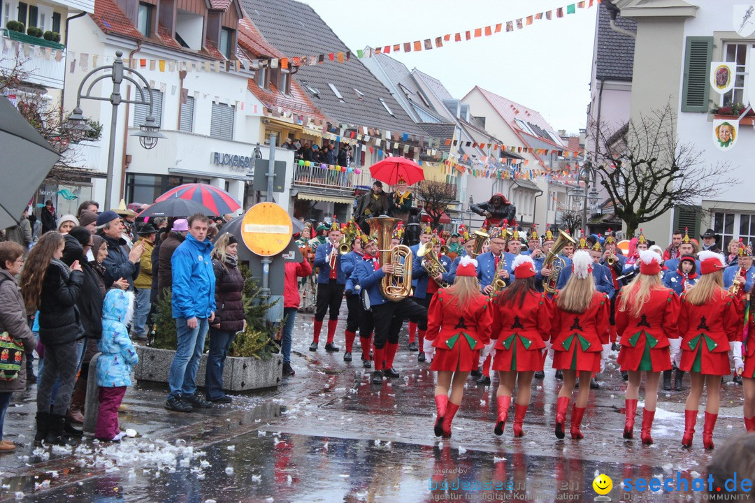 Fasnetsumzug - Fasching: Langenargen am Bodensee, 10.01.2016