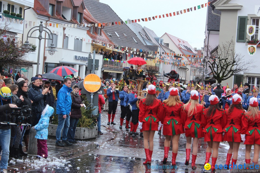 Fasnetsumzug - Fasching: Langenargen am Bodensee, 10.01.2016