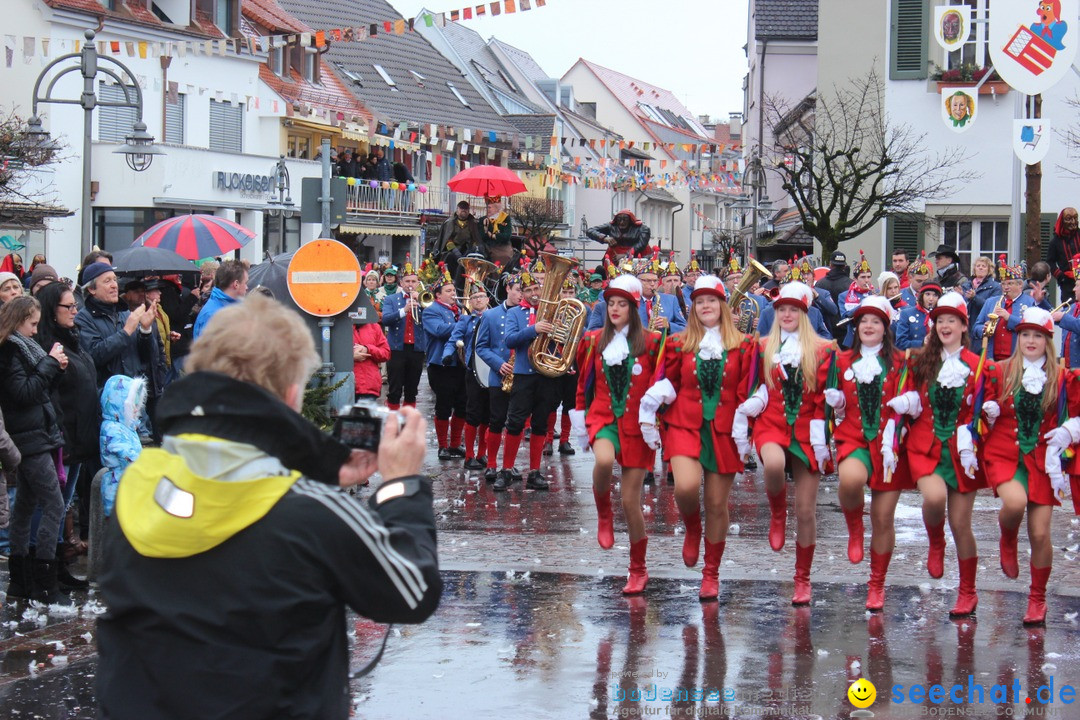 Fasnetsumzug - Fasching: Langenargen am Bodensee, 10.01.2016