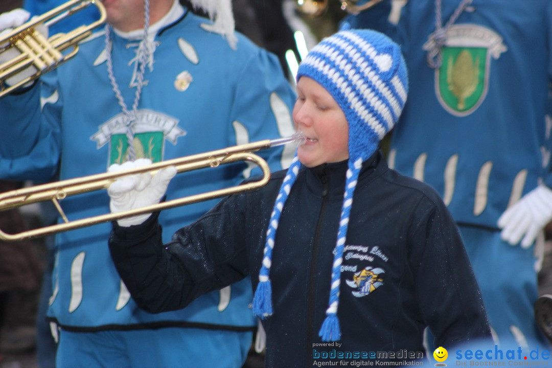 Fasnetsumzug - Fasching: Langenargen am Bodensee, 10.01.2016