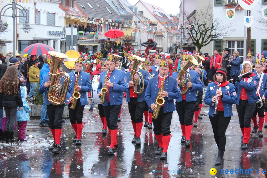 Fasnetsumzug - Fasching: Langenargen am Bodensee, 10.01.2016