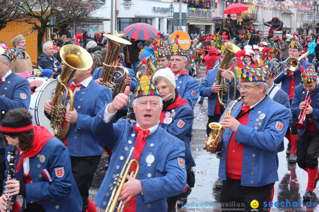 Fasnetsumzug - Fasching: Langenargen am Bodensee, 10.01.2016