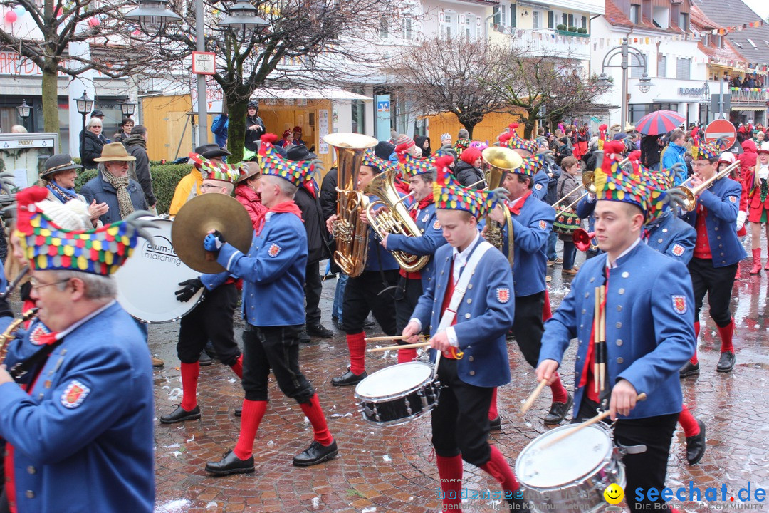 Fasnetsumzug - Fasching: Langenargen am Bodensee, 10.01.2016