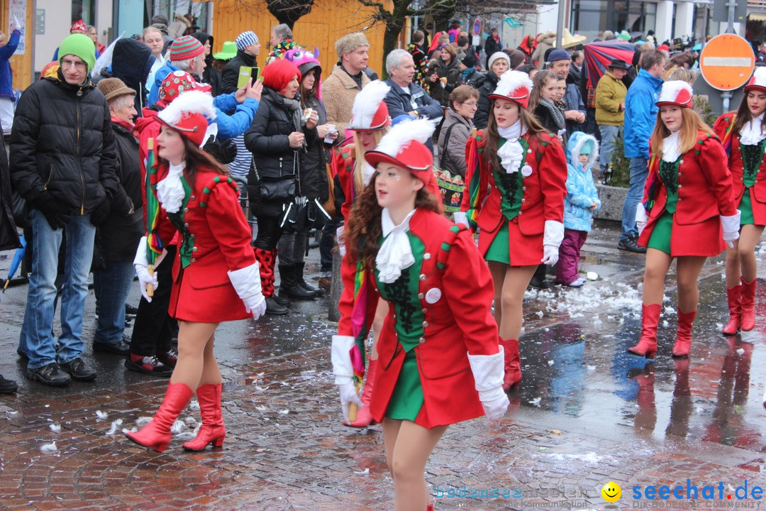 Fasnetsumzug - Fasching: Langenargen am Bodensee, 10.01.2016