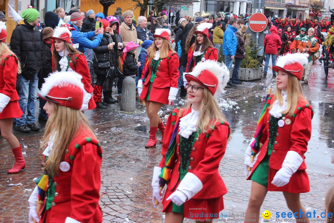 Fasnetsumzug - Fasching: Langenargen am Bodensee, 10.01.2016