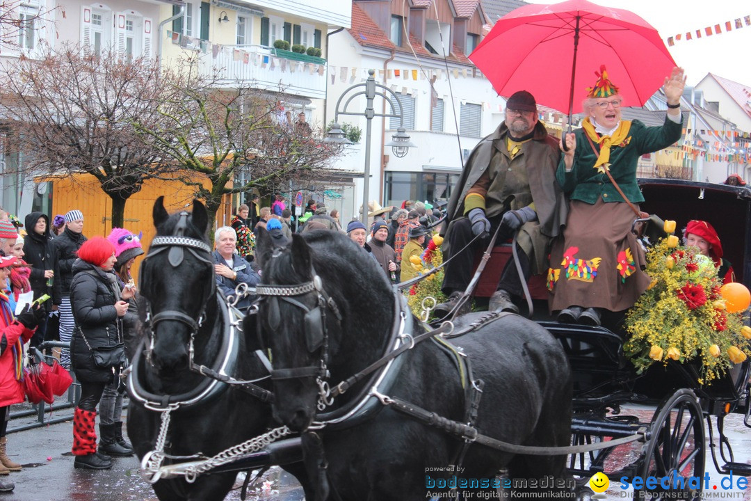 Fasnetsumzug - Fasching: Langenargen am Bodensee, 10.01.2016