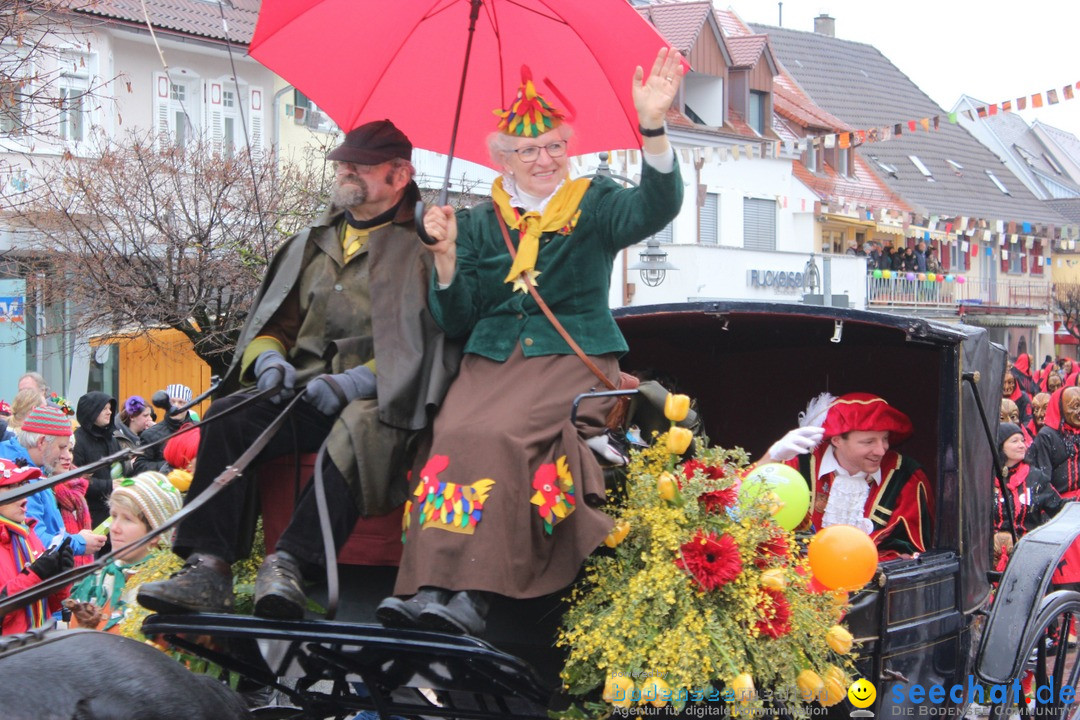 Fasnetsumzug - Fasching: Langenargen am Bodensee, 10.01.2016