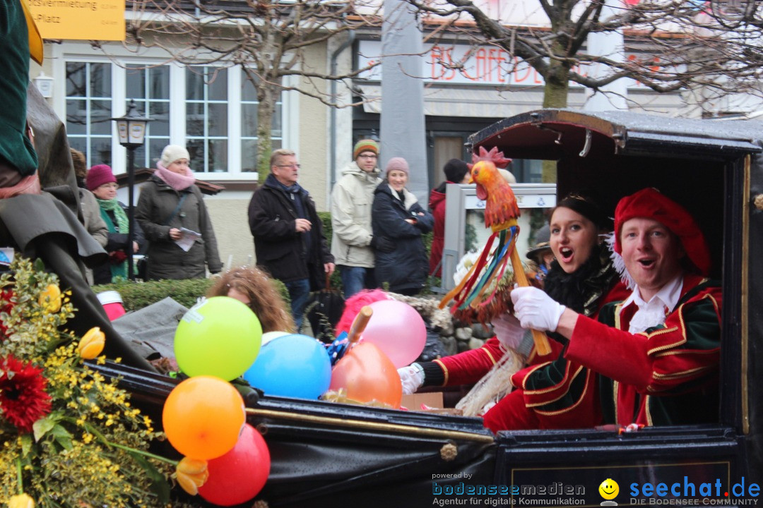 Fasnetsumzug - Fasching: Langenargen am Bodensee, 10.01.2016