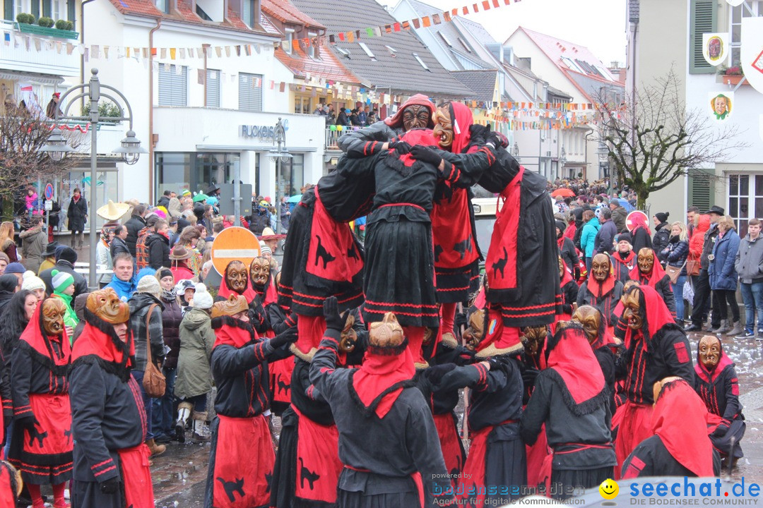 Fasnetsumzug - Fasching: Langenargen am Bodensee, 10.01.2016