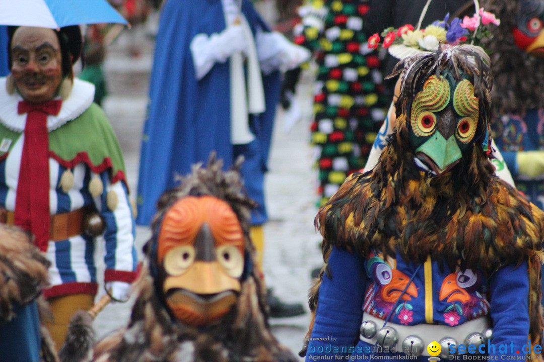 Fasnetsumzug - Fasching: Langenargen am Bodensee, 10.01.2016